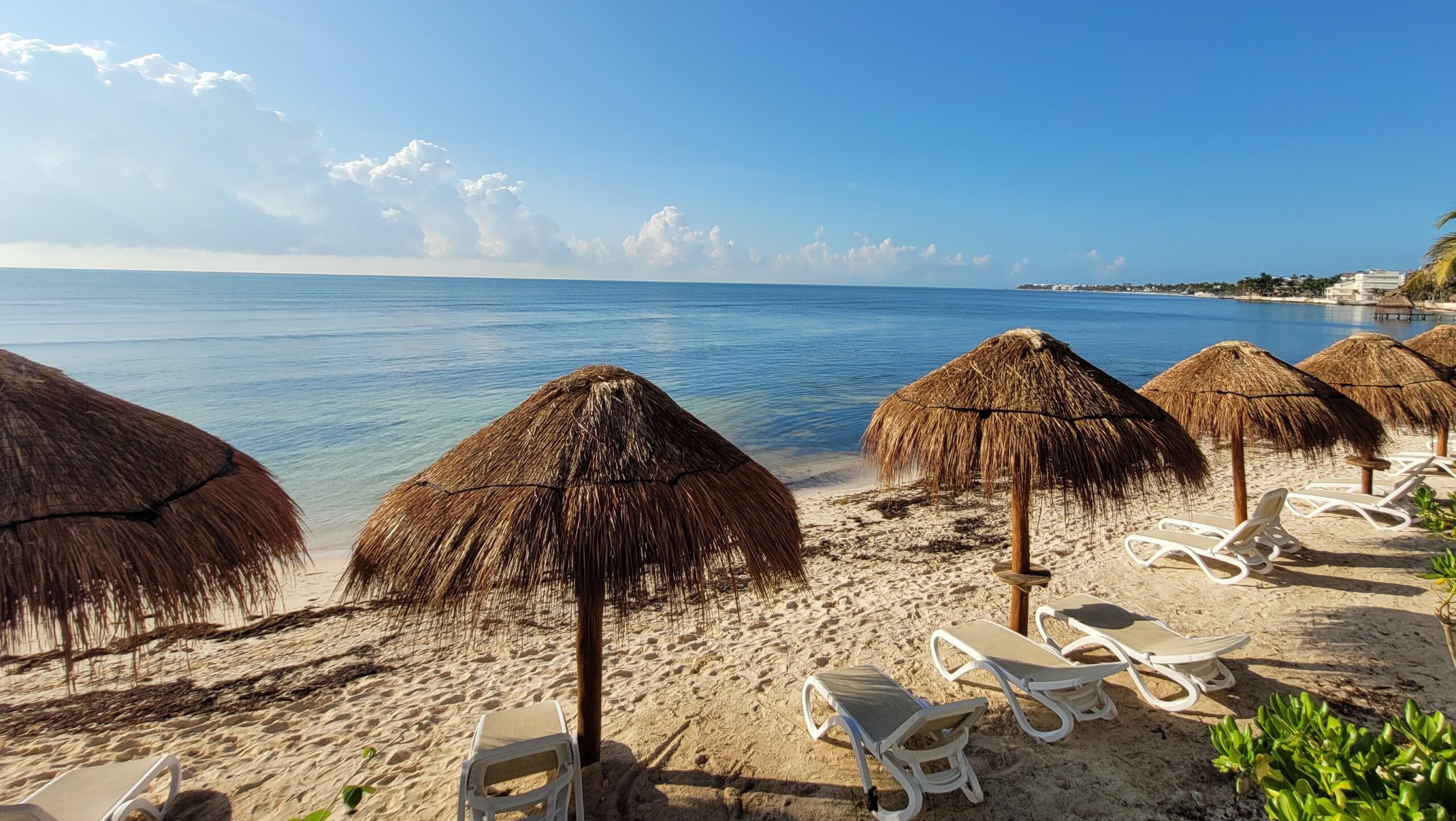 Hyatt Ziva Riviera Cancun Vacation Review