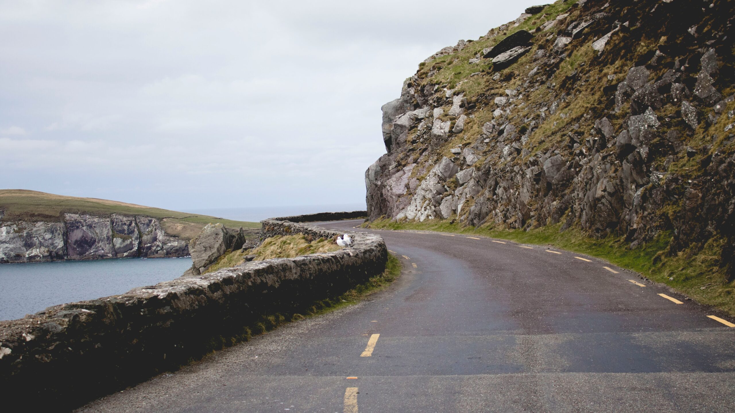 How to Rent a Car in Ireland