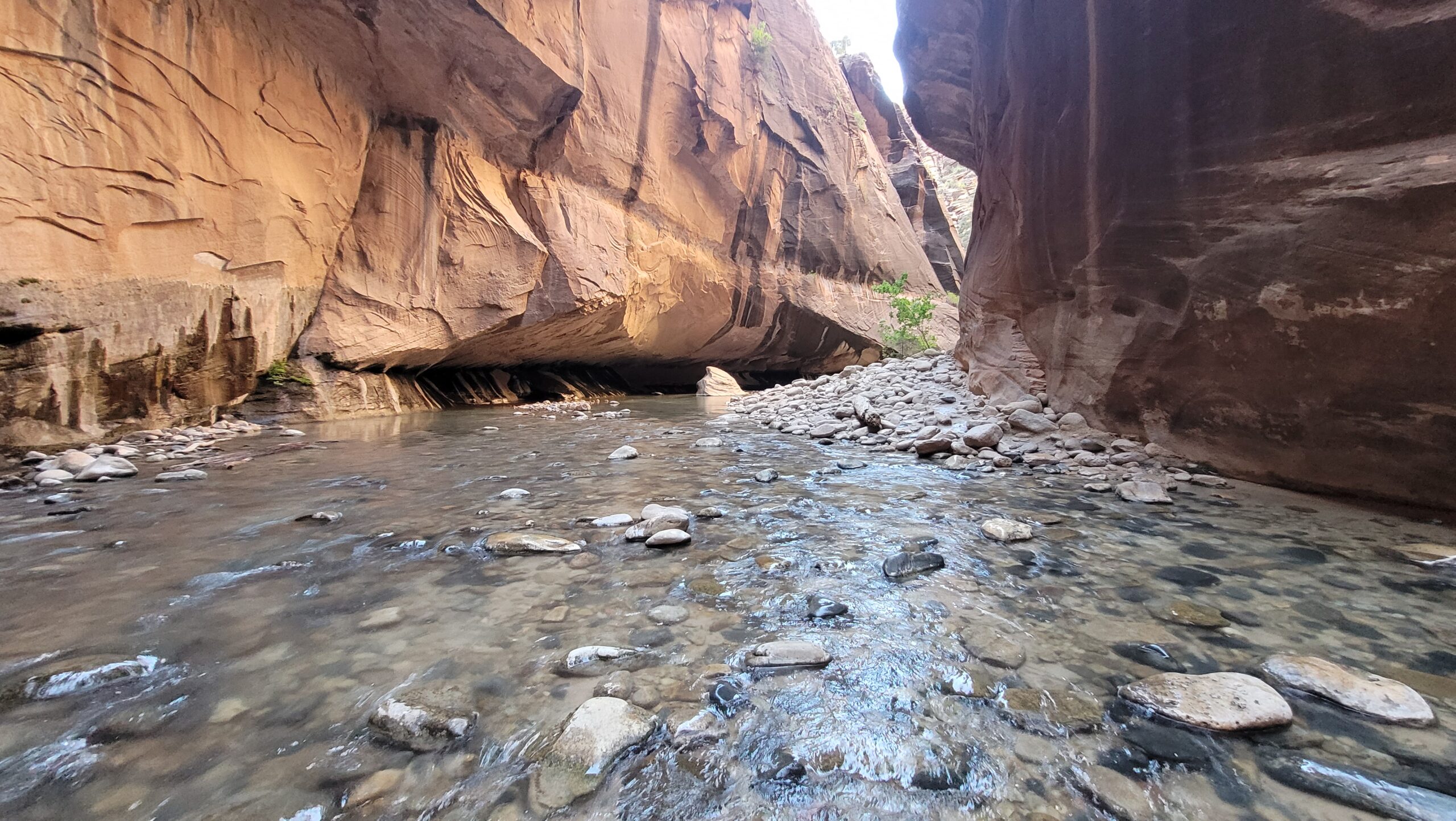 The Narrows – A Day Hike in Zion National Park