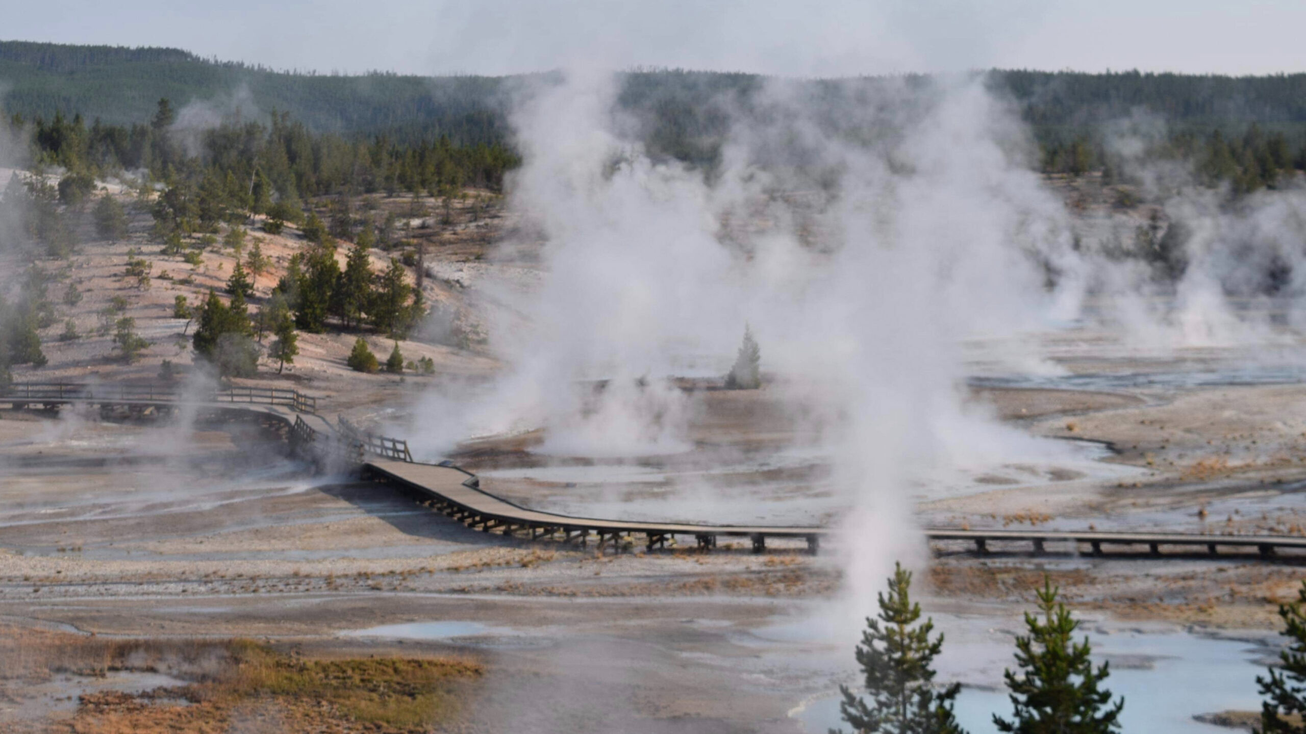 Wyoming National Parks – Yellowstone and Grand Teton Itinerary – Points Hotels